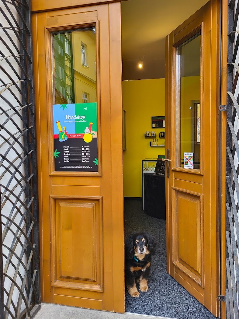 weedshop prodejna s cbd